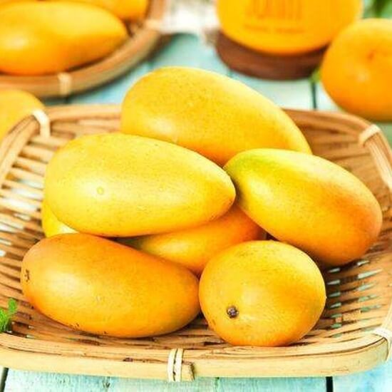 芒果之乡是广西哪个地方 广西芒果，火龙果即将上市，条友们你们是哪里人？