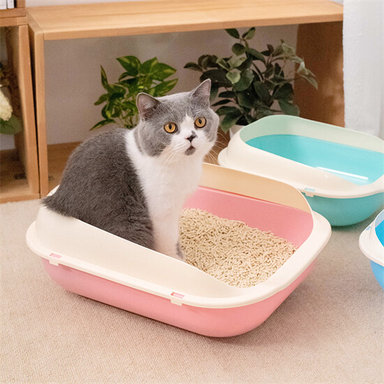 「如何训练猫咪使用猫砂？」
