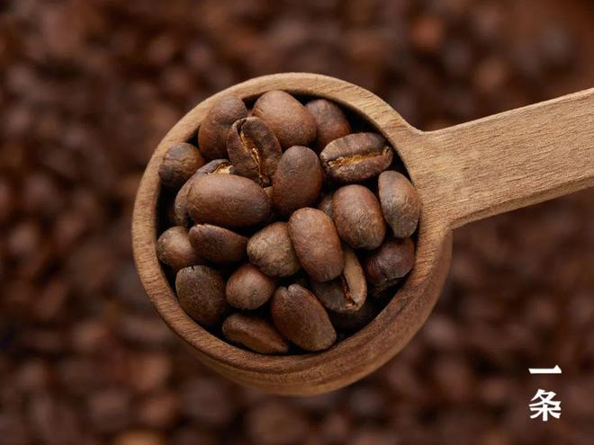 世界十大咖啡排名，猫屎咖啡上榜，第一产量非常稀少